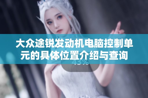 大众途锐发动机电脑控制单元的具体位置介绍与查询