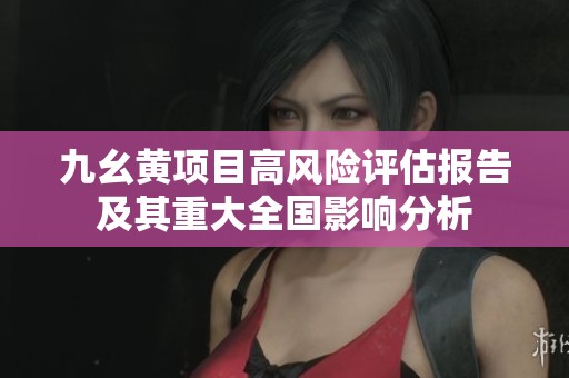 九幺黄项目高风险评估报告及其重大全国影响分析
