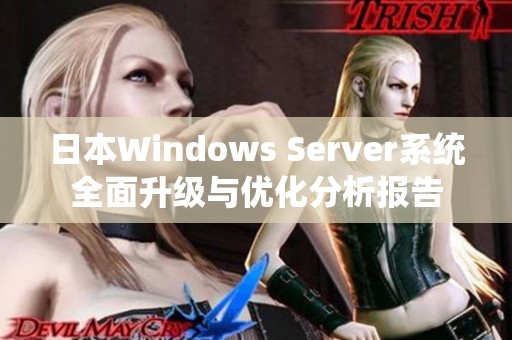 日本Windows Server系统全面升级与优化分析报告