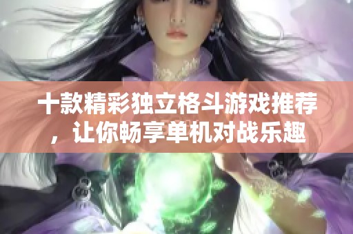 十款精彩独立格斗游戏推荐，让你畅享单机对战乐趣