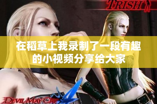 在稻草上我录制了一段有趣的小视频分享给大家