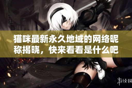 猫咪最新永久地域的网络昵称揭晓，快来看看是什么吧