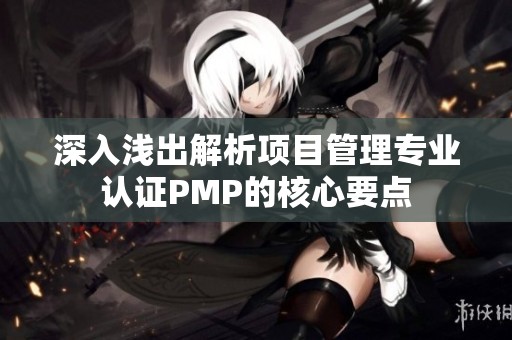 深入浅出解析项目管理专业认证PMP的核心要点