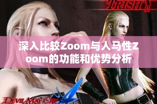 深入比较Zoom与人马性Zoom的功能和优势分析