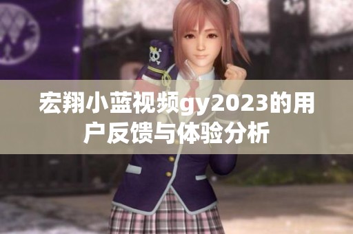 宏翔小蓝视频gy2023的用户反馈与体验分析