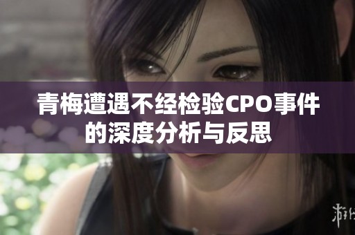 青梅遭遇不经检验CPO事件的深度分析与反思