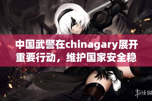 中国武警在chinagary展开重要行动，维护国家安全稳定