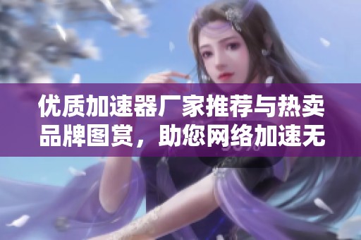 优质加速器厂家推荐与热卖品牌图赏，助您网络加速无忧