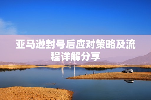 亚马逊封号后应对策略及流程详解分享