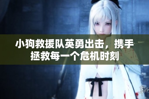 小狗救援队英勇出击，携手拯救每一个危机时刻