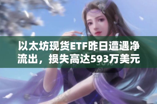 以太坊现货ETF昨日遭遇净流出，损失高达593万美元