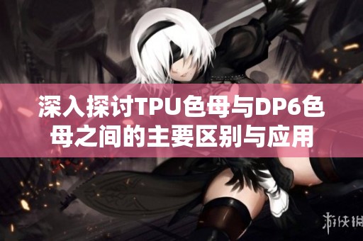 深入探讨TPU色母与DP6色母之间的主要区别与应用