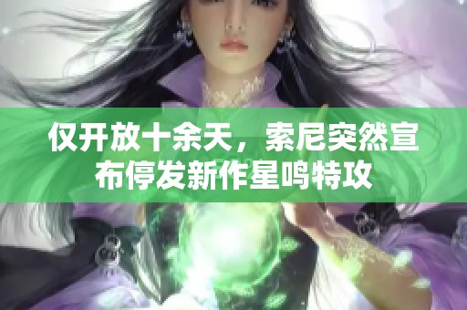 仅开放十余天，索尼突然宣布停发新作星鸣特攻