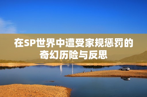 在SP世界中遭受家规惩罚的奇幻历险与反思