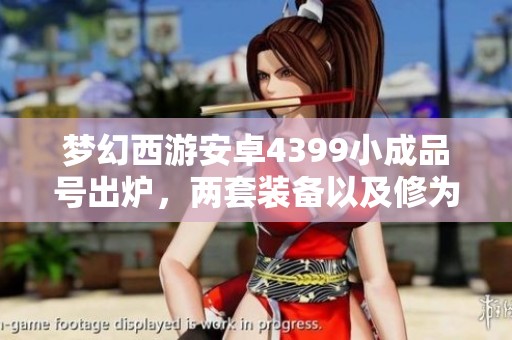 梦幻西游安卓4399小成品号出炉，两套装备以及修为接近小满情况解析