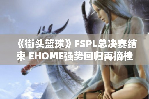 《街头篮球》FSPL总决赛结束 EHOME强势回归再摘桂冠