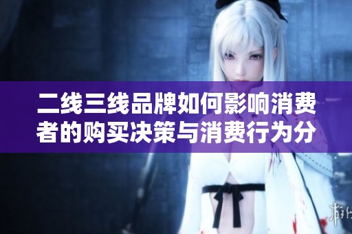 二线三线品牌如何影响消费者的购买决策与消费行为分析