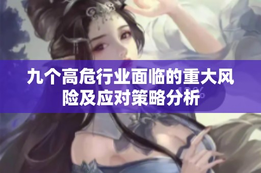 九个高危行业面临的重大风险及应对策略分析