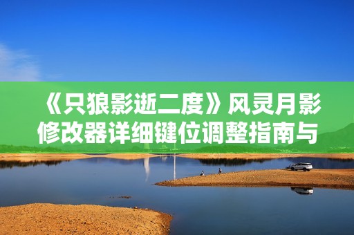 《只狼影逝二度》风灵月影修改器详细键位调整指南与技巧解析