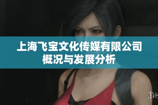 上海飞宝文化传媒有限公司概况与发展分析