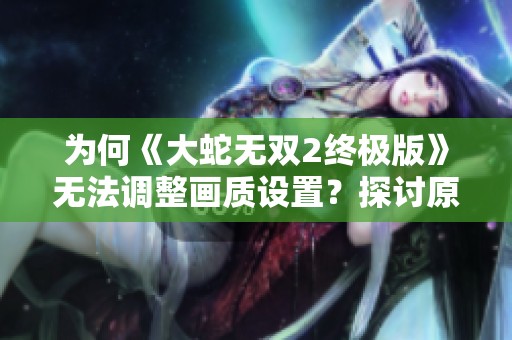 为何《大蛇无双2终极版》无法调整画质设置？探讨原因与解决办法