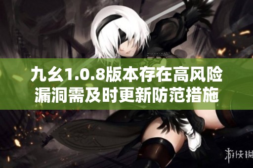 九幺1.0.8版本存在高风险漏洞需及时更新防范措施