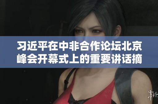 习近平在中非合作论坛北京峰会开幕式上的重要讲话摘要与解读
