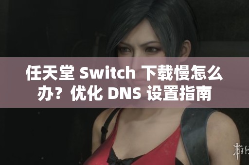 任天堂 Switch 下载慢怎么办？优化 DNS 设置指南