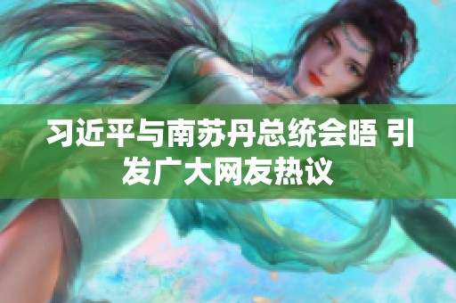 习近平与南苏丹总统会晤 引发广大网友热议