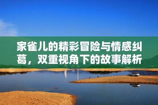 家雀儿的精彩冒险与情感纠葛，双重视角下的故事解析