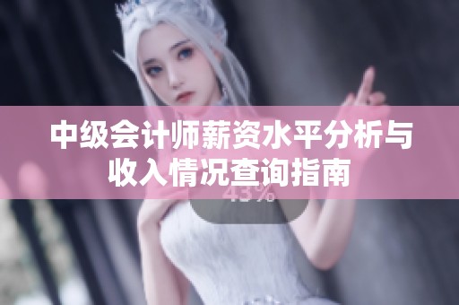 中级会计师薪资水平分析与收入情况查询指南