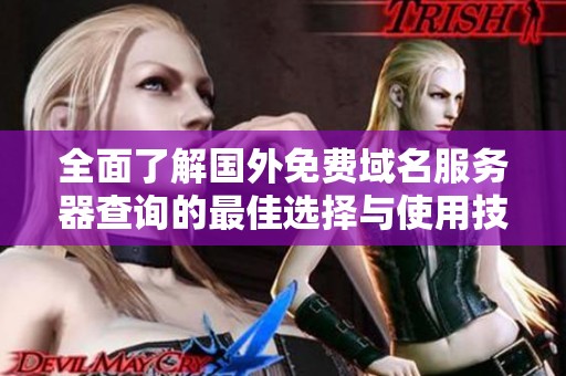 全面了解国外免费域名服务器查询的最佳选择与使用技巧