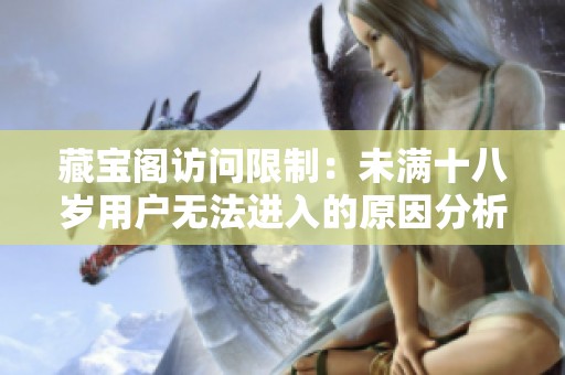 藏宝阁访问限制：未满十八岁用户无法进入的原因分析