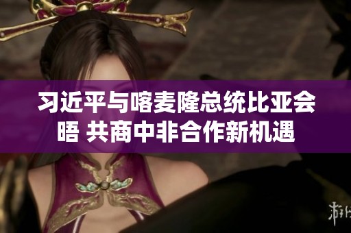 习近平与喀麦隆总统比亚会晤 共商中非合作新机遇