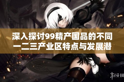 深入探讨99精产国品的不同一二三产业区特点与发展潜力