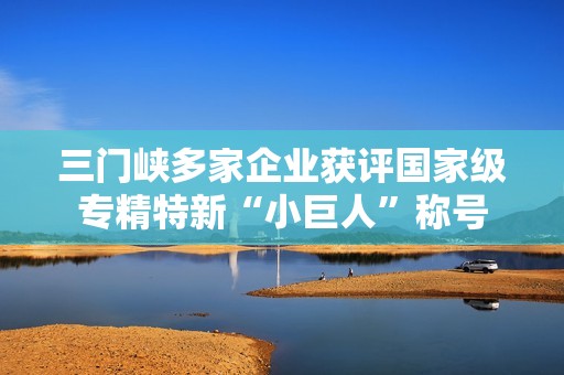 三门峡多家企业获评国家级专精特新“小巨人”称号