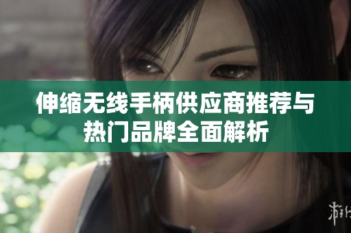伸缩无线手柄供应商推荐与热门品牌全面解析