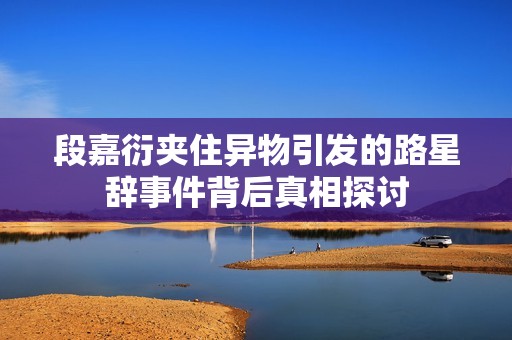 段嘉衍夹住异物引发的路星辞事件背后真相探讨