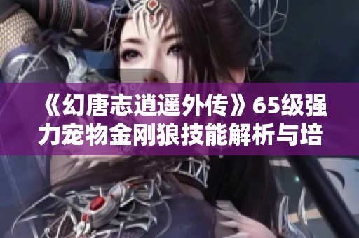 《幻唐志逍遥外传》65级强力宠物金刚狼技能解析与培养技巧分享