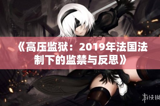 《高压监狱：2019年法国法制下的监禁与反思》