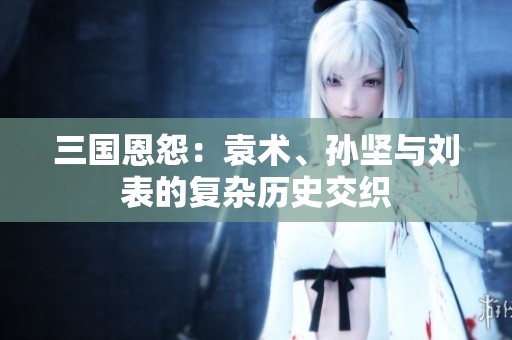 三国恩怨：袁术、孙坚与刘表的复杂历史交织