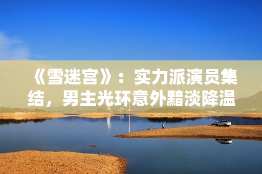 《雪迷宫》：实力派演员集结，男主光环意外黯淡降温