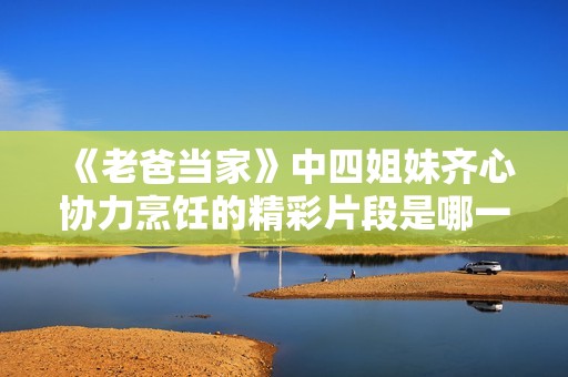 《老爸当家》中四姐妹齐心协力烹饪的精彩片段是哪一集？