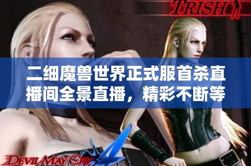 二细魔兽世界正式服首杀直播间全景直播，精彩不断等你来参与