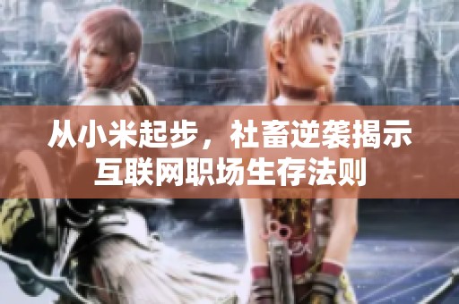 从小米起步，社畜逆袭揭示互联网职场生存法则