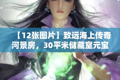 【12张图片】致远海上传奇河景房，30平米储藏室元宝户型全景展示