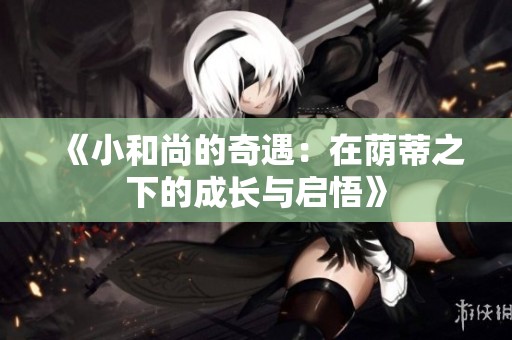 《小和尚的奇遇：在荫蒂之下的成长与启悟》