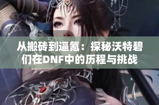 从搬砖到逼氪：探秘沃特碧们在DNF中的历程与挑战