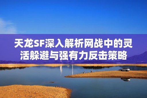 天龙SF深入解析网战中的灵活躲避与强有力反击策略