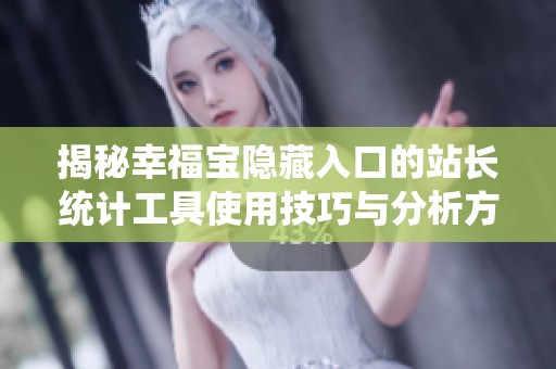 揭秘幸福宝隐藏入口的站长统计工具使用技巧与分析方法